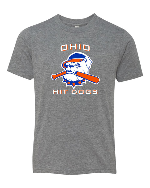 Ohio Hit Dogs Vintage Gray T-Shirt