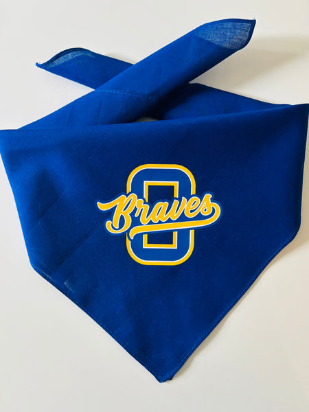 Braves Doggie Bandana