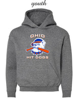 Youth Ohio Hit Dogs Gray Hoodie